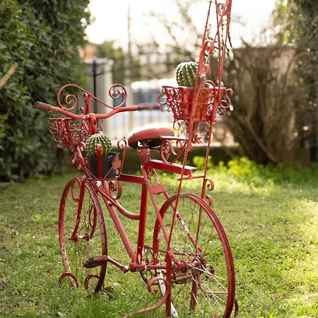 La Reggia Di Vittoria Appartement Venaria Reale